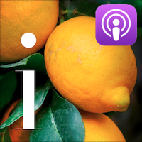 Italian technology su Apple Podcasts